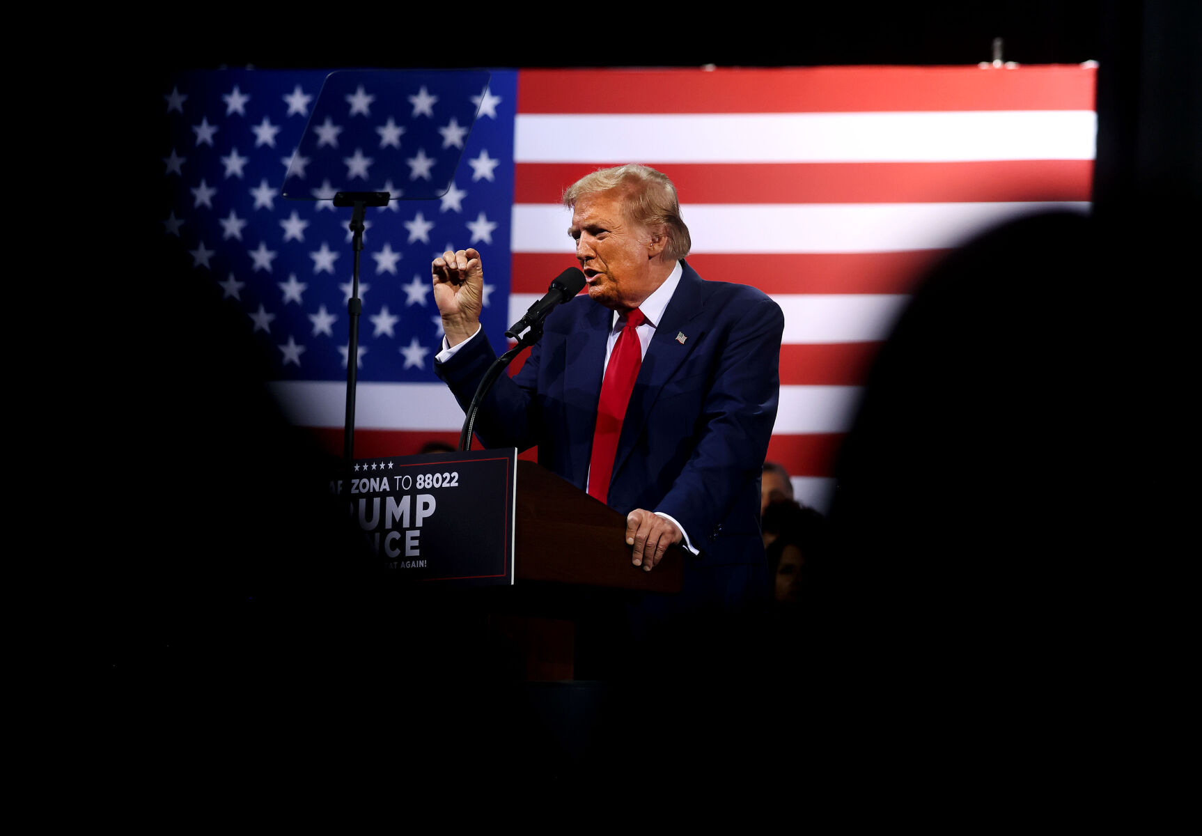 Former President Donald Trump, 2024 election
